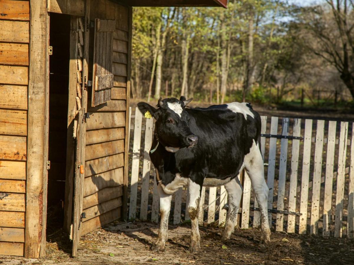 Wierzbowe Ranczo - Blisko Suntago Agroturismo *